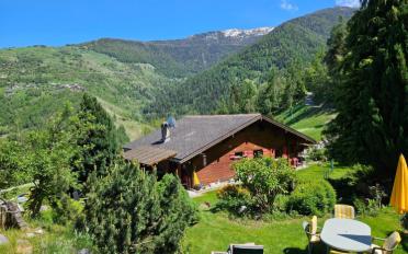 Chalet 7 rooms - image - 2