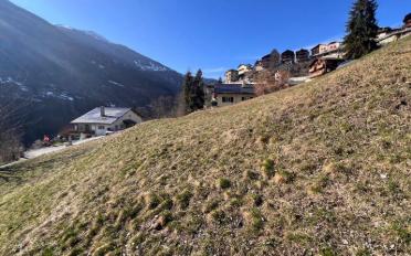 Bauland - image - 2