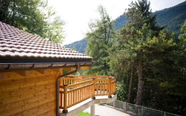 Chalet 6.5 Zimmer - image - 2
