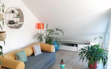 Dachwohnung 2 Zimmer - image - 1
