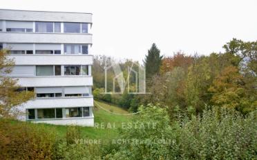 Einzelzimmer 3.5 Zimmer - image - 1