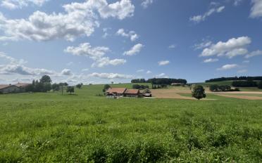 Villa 6.5 pièces - image - 10