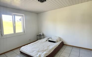 Villa 5.5 pièces - image - 6