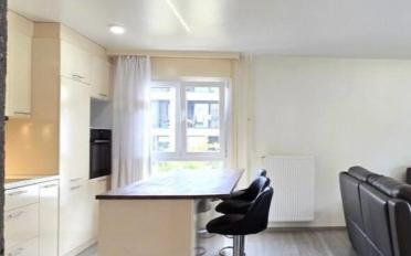 Appartement 3.5 pièces - image - 2