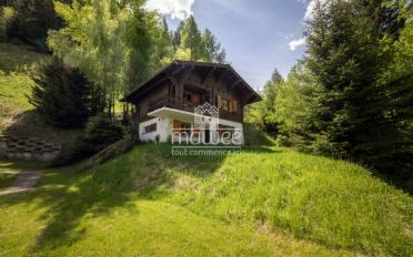 Chalet 4.5 Zimmer - image - 11