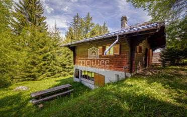 Chalet 4.5 Zimmer - image - 12