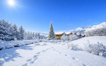 Chalet 9 rooms - image - 1