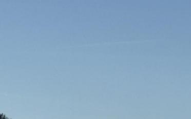 Wohnung 3.5 Zimmer - image - 1