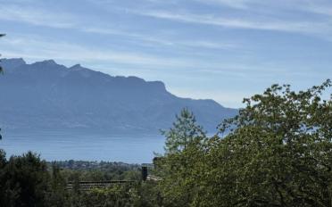 Building land - image - 1