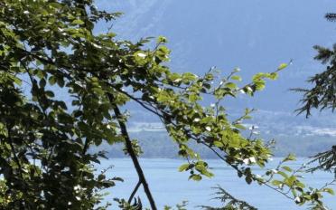 Building land - image - 2