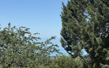 Building land - image - 4