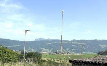 Villa 5.5 pièces - image - 10