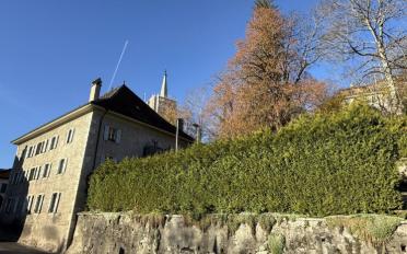 Appartement 3.5 pièces - image - 4