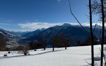 Terrace flat 5.5 rooms - image - 5