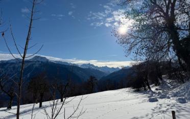 Appartement terrasse 5.5 pièces - image - 4
