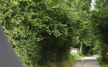 Maison terrasse 5.5 pièces - image - 12