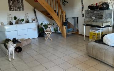 Duplex 4.5 pièces - image - 2