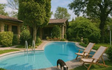 Single house 8 rooms - image - 1