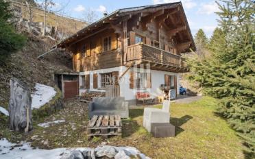Chalet 4.5 Zimmer - image - 1