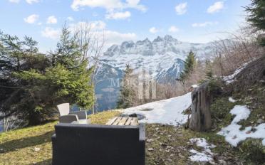 Chalet 4.5 Zimmer - image - 3