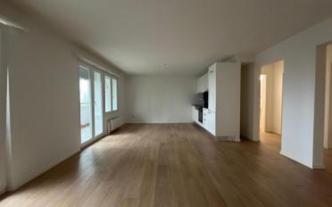 Wohnung 3.5 Zimmer - image - 2