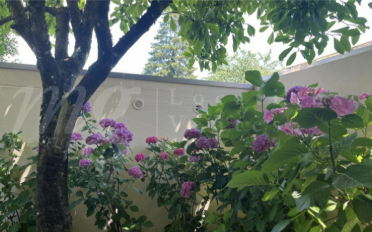 Maison 7 pièces - image - 12