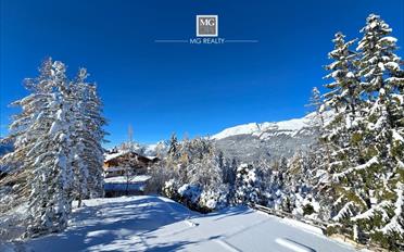 Chalet 8.5 pièces - image - 3