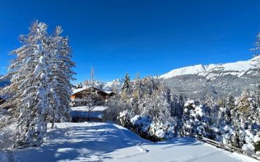 Chalet 8.5 Zimmer - image - 3