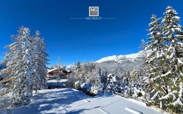 Chalet 8.5 pièces - image - 3