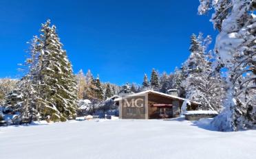 Chalet 8.5 Zimmer - image - 1