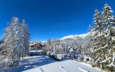 Chalet 8.5 pièces - image - 3