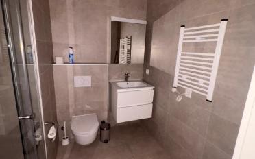 Appartement 1.5 pièces - image - 3