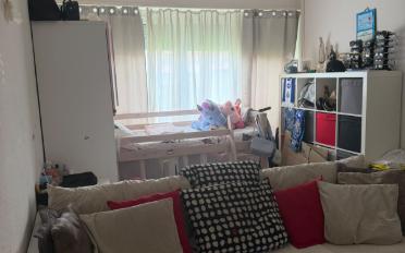 Wohnung 2.5 Zimmer - image - 1