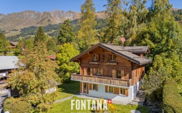 Chalet 7 rooms - image - 1