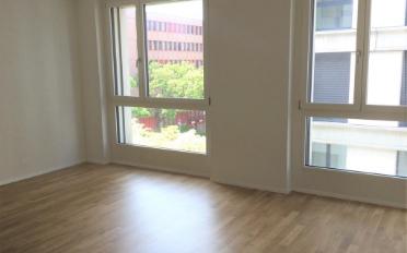 Appartement 2.5 pièces - image - 8