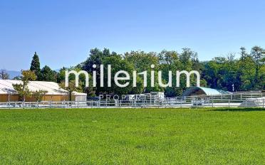 Apartment 5 rooms - image - 3