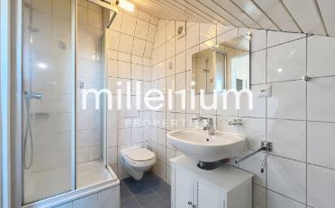 Single house 5 rooms - image - 10