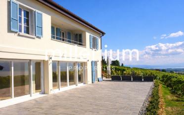 Apartment 3.5 rooms - image - 3