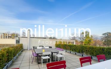 Loft 4 Zimmer - image - 2