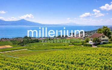 Appartement 3.5 pièces - image - 1