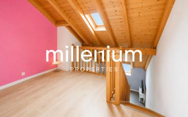 Duplex 3.5 Zimmer - image - 7
