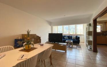 Wohnung 3.5 Zimmer - image - 1