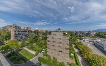 Duplex 9 rooms - image - 6