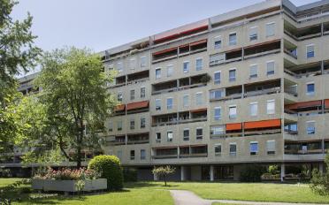 Wohnung 6.5 Zimmer - image - 1