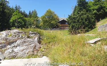 Terrain à bâtir - image - 1