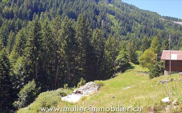 Terrain à bâtir - image - 2