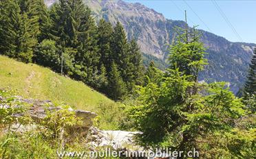 Terrain à bâtir - image - 8