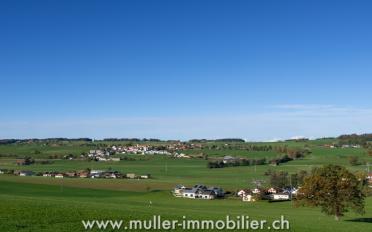 Wohnung 3.5 Zimmer - image - 11