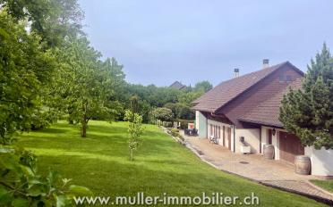 Einfamilienhaus 5.5 Zimmer - image - 12