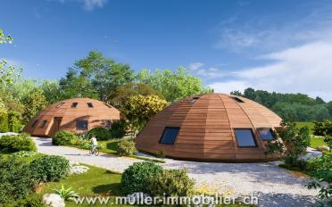 Single house 4 rooms - image - 12